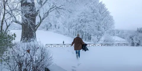Фобия — кадр 4