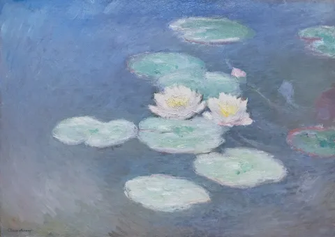 Клод Моне: Магия воды и света — кадр 8