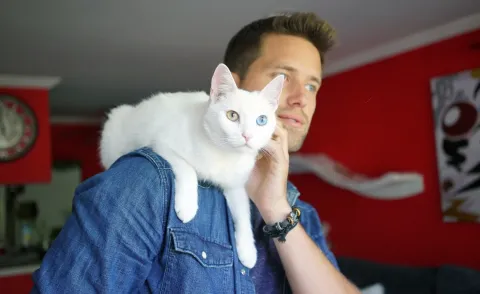 Котики — кадр 7