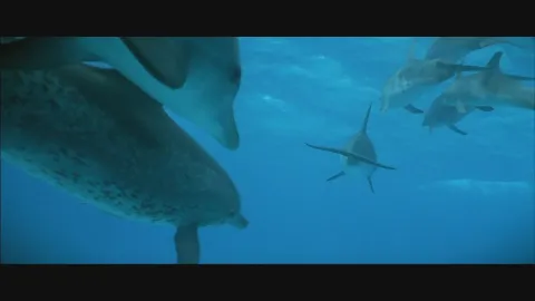 Атлантис — кадр 9