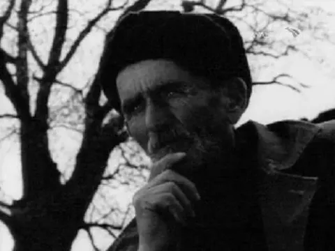 Саженцы — кадр 2