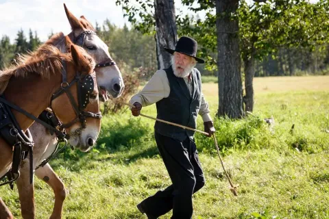 Заброшенный — кадр 9