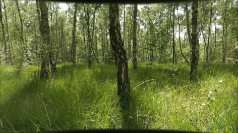 Fantastic Shorts — кадр 7