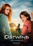 Восточный ветер 4: Легенда о Воине смотреть онлайн бесплатно
