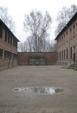 Сделано в Освенциме: Нерассказанная история блока номер десять смотреть онлайн бесплатно