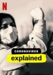 Коронавирус, объяснение смотреть онлайн бесплатно