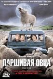 Паршивая овца смотреть онлайн бесплатно