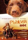 Рыжий пес смотреть онлайн бесплатно
