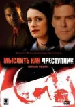 Мыслить как преступник смотреть онлайн бесплатно