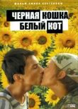 Черная кошка, белый кот смотреть онлайн бесплатно