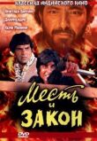 Месть и закон смотреть онлайн бесплатно