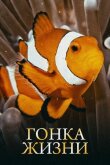 Гонка жизни смотреть онлайн бесплатно