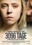 3096 дней смотреть онлайн бесплатно