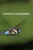 Планета насекомых смотреть онлайн бесплатно