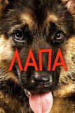 Лапа смотреть онлайн бесплатно