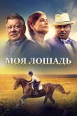Моя лошадь смотреть онлайн бесплатно