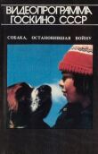 Собака, остановившая войну смотреть онлайн бесплатно