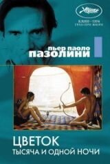 Цветок тысяча и одной ночи смотреть онлайн бесплатно