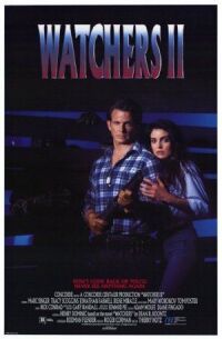 Наблюдатели 2