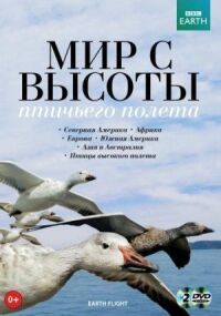 Земной полёт