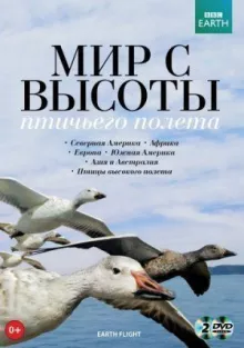 Земной полёт